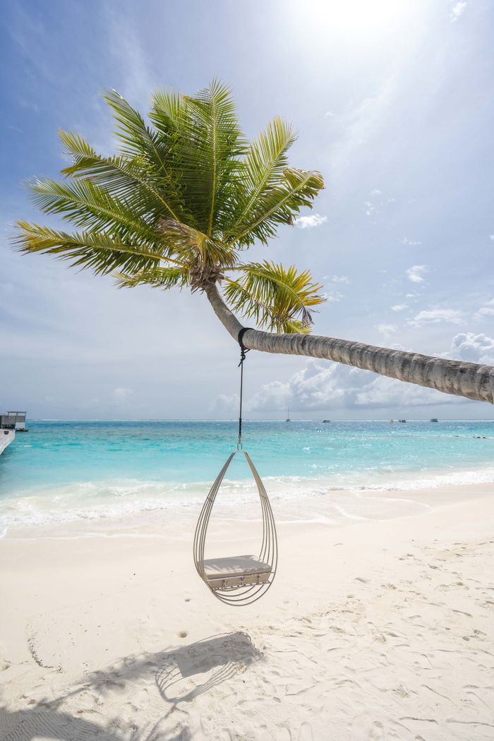 Menu Serene tropical beach scene with a palm tree swing over crystal blue water.